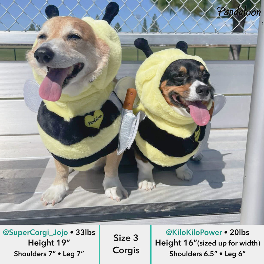 Bumble bee dog costume best sale