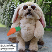 Pandaloon Walking Bunny Dog and Pet Costume AS SEEN ON SHARK TANK