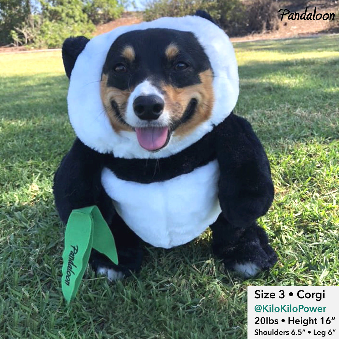 Dog costumes panda best sale