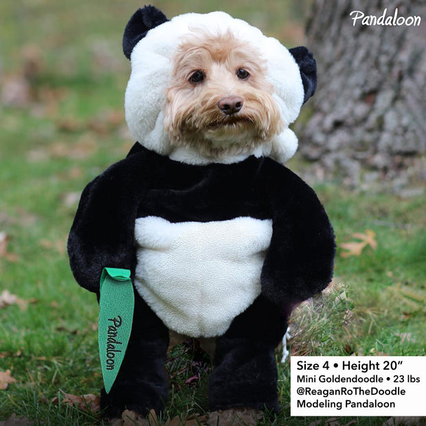 Pandaloon Panda Puppy Dog Costume AS SEEN ON SHARK TANK