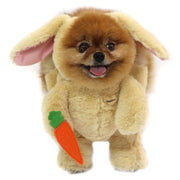 Pandaloon Pet Costumes | Buy with Prime Shipping