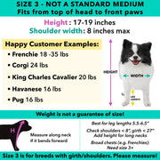 Pandaloon Pet Costumes | Buy with Prime Shipping