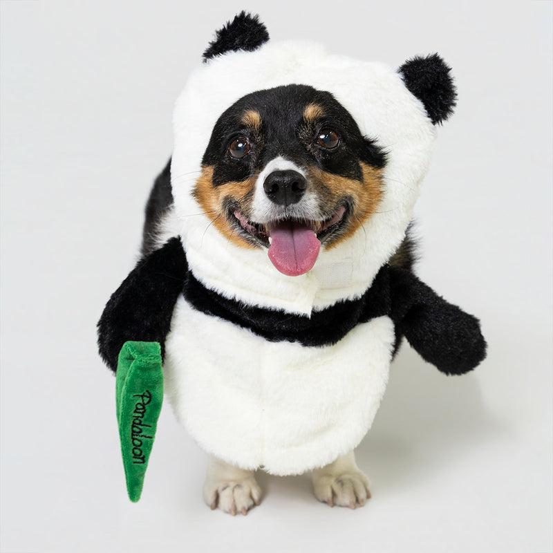 Corgi wearing the Panda easy to wear costume