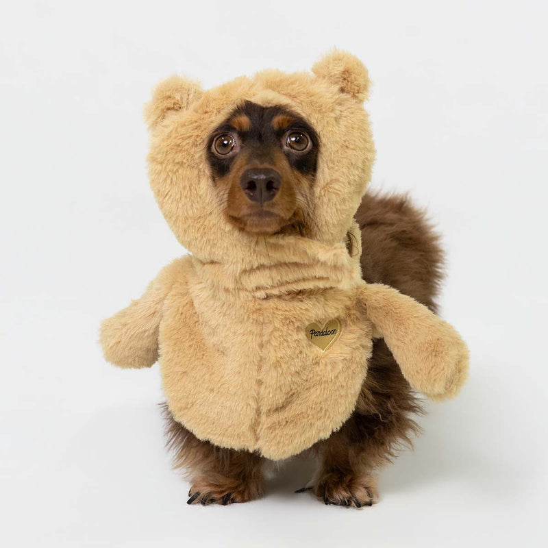 Dachshund wearing the Teddy Bear easy to wear costume
