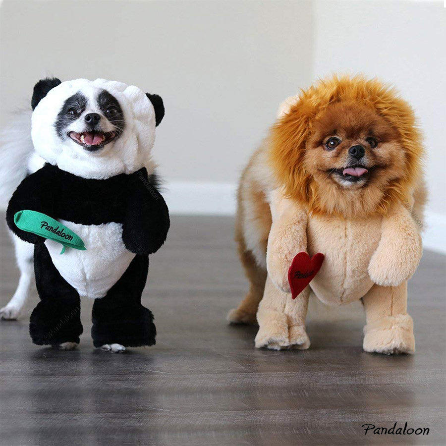 Pandaloon Walking Lion with Mane Dog and Pet Costume