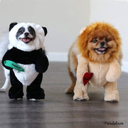 Pandaloon Walking Lion with Mane Dog and Pet Costume AS SEEN ON SHARK TANK