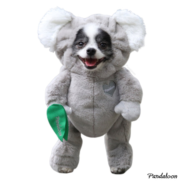 Pandaloon Walking Koala Pet Costume