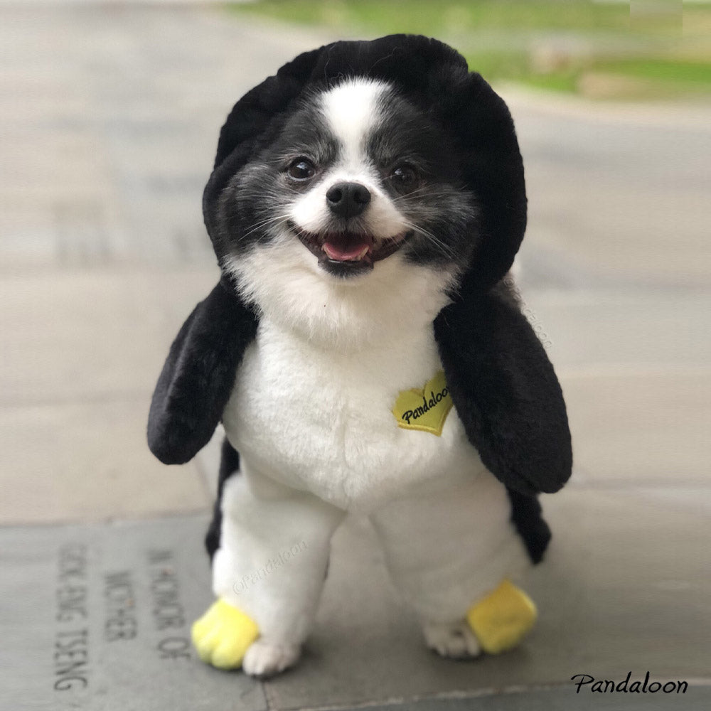 Pandaloon Walking Penguin Pet Costume