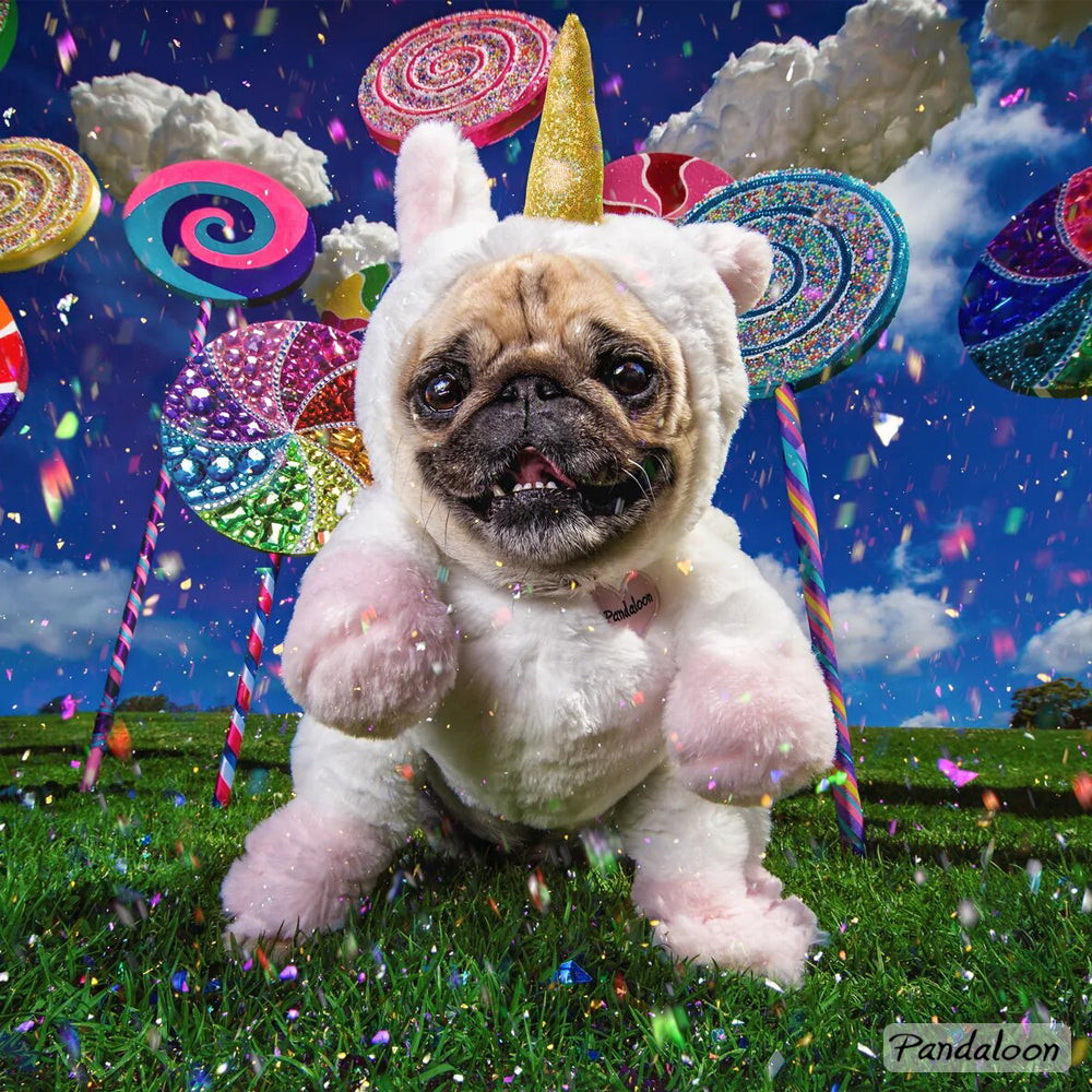 cute pugs dressed up 18th Century Pugs Sneak peek: First fitting for Jujube's Rococo inspired outfit. We may change up her choker design but her outfit is coming along. This is a final fitting for