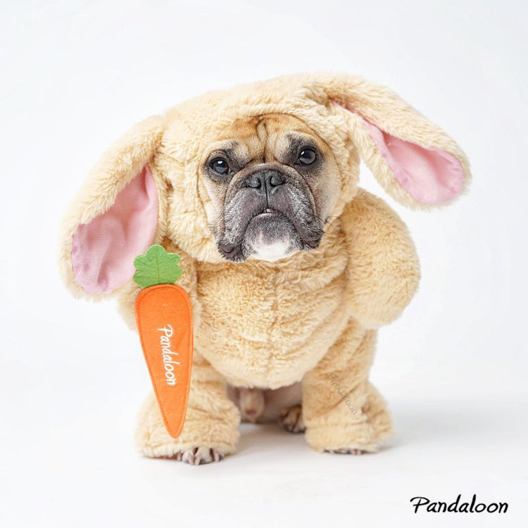 Pandaloon Walking Bunny Dog and Pet Costume AS SEEN ON SHARK TANK