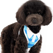 Polo Shirt Dog Harness Blue - Pandaloon 