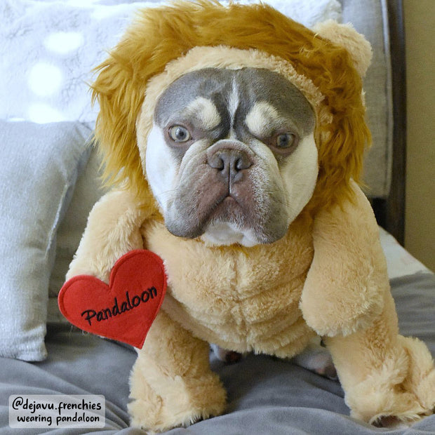 Pandaloon Lion Pet Costume