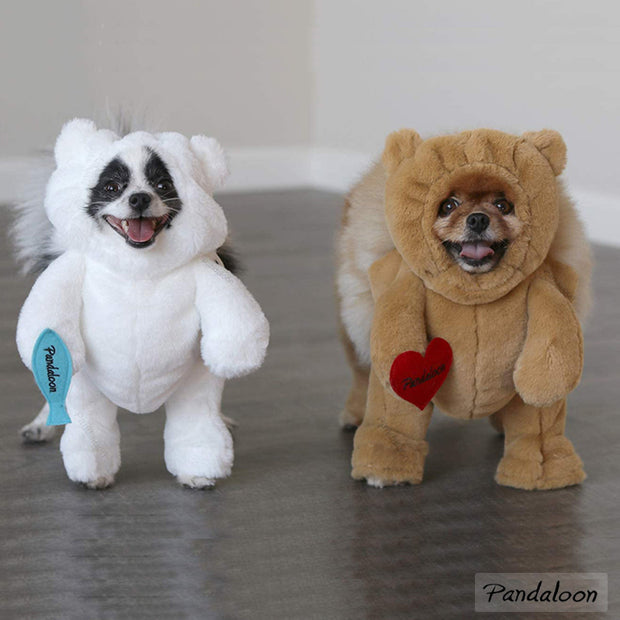 Pandaloon Teddy Bear Pet Costume