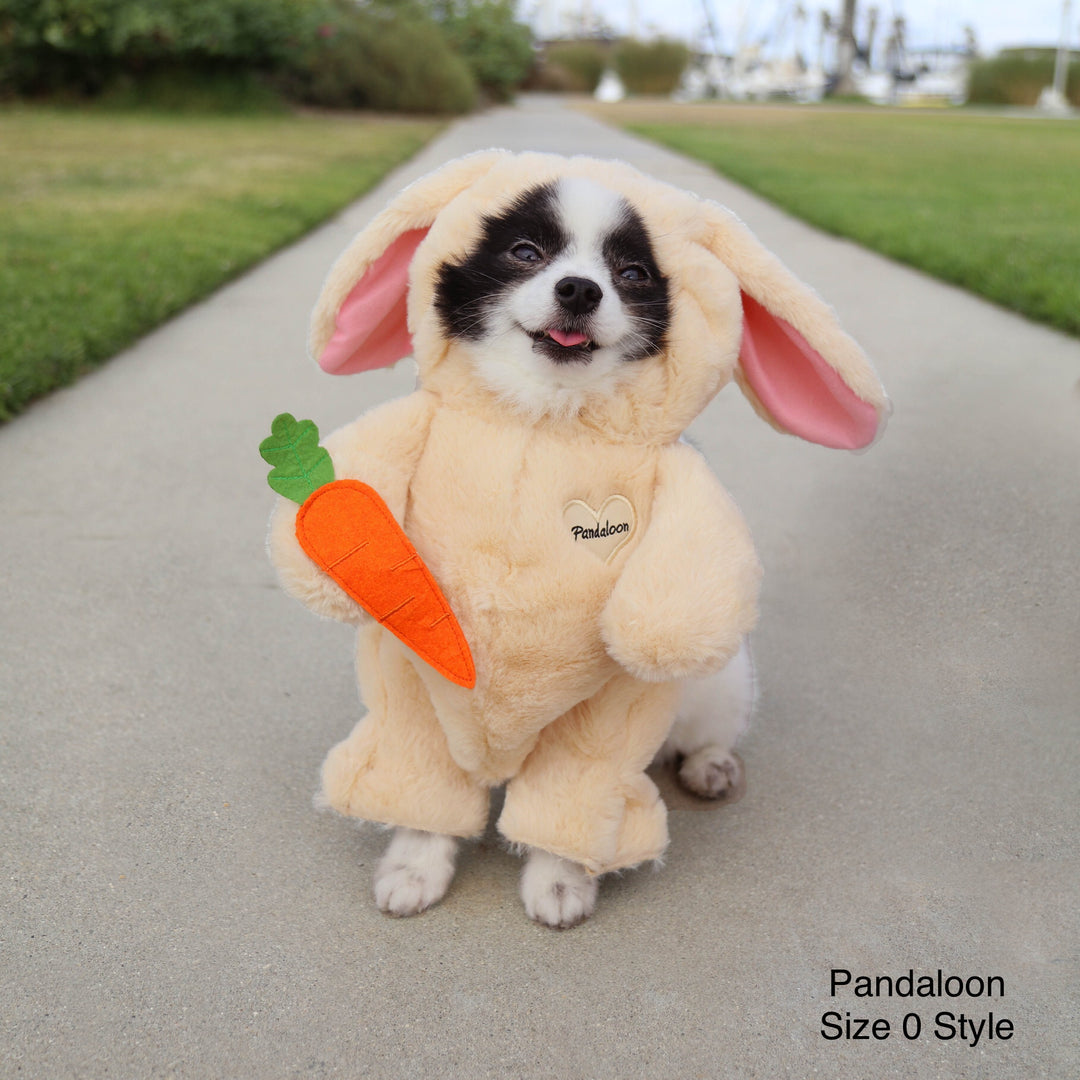 Easter Bunny Costume Easter Clothes For Dogs Pandaloon Walking
