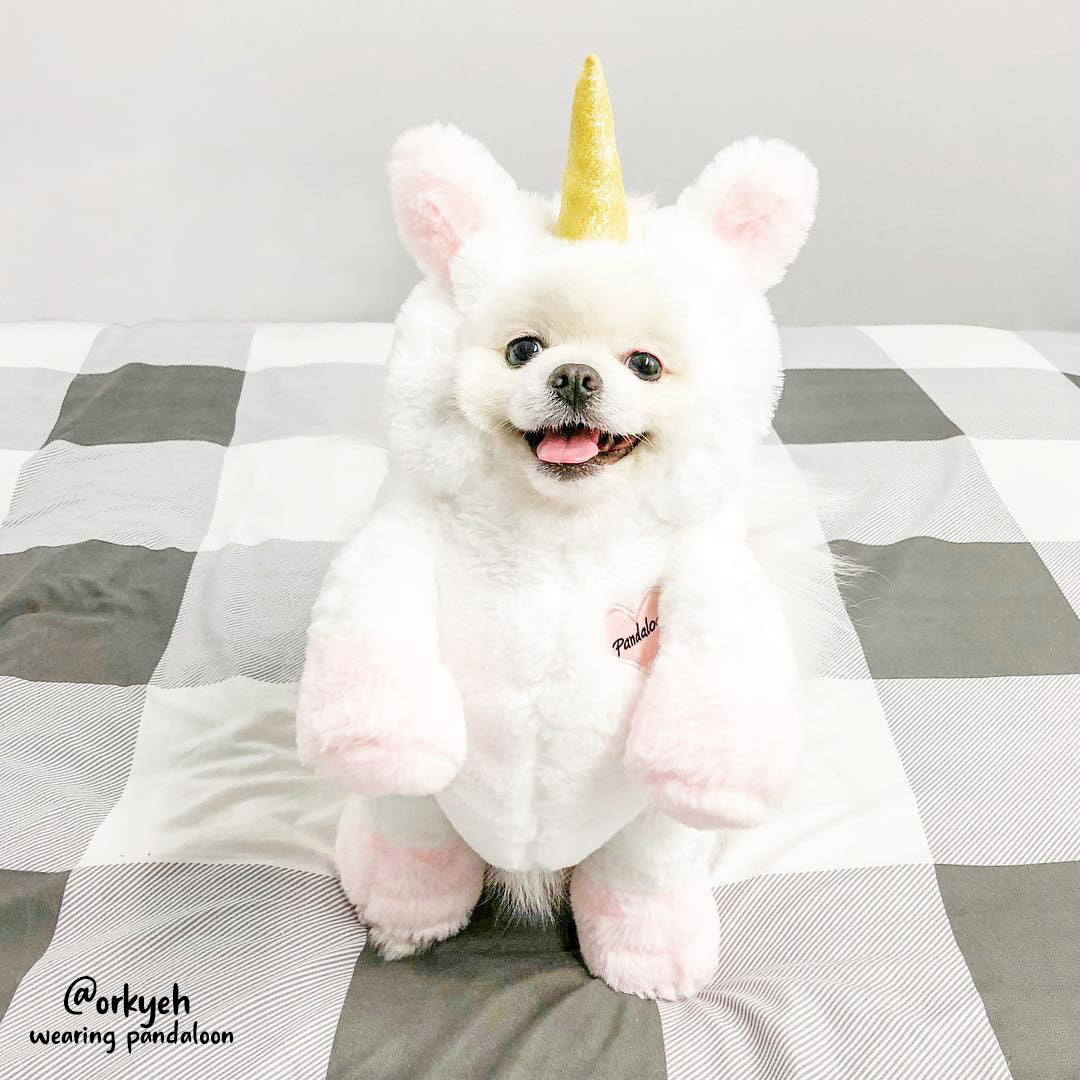 Pandaloon Walking Unicorn Dog and Pet Costume AS SEEN ON SHARK TANK