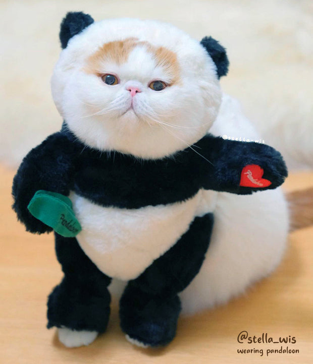 Pandaloon Panda Puppy Dog Costume
