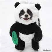 Pandaloon Panda Puppy Dog Costume