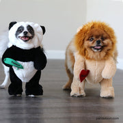 Pandaloon gift cards cute dog outfits from Shark Tank such as panda bear and lion costumes