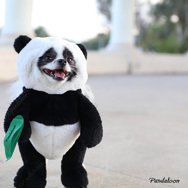 Pandaloon Panda Puppy Dog Costume