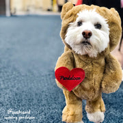 Pandaloon Teddy Bear Pet Costume