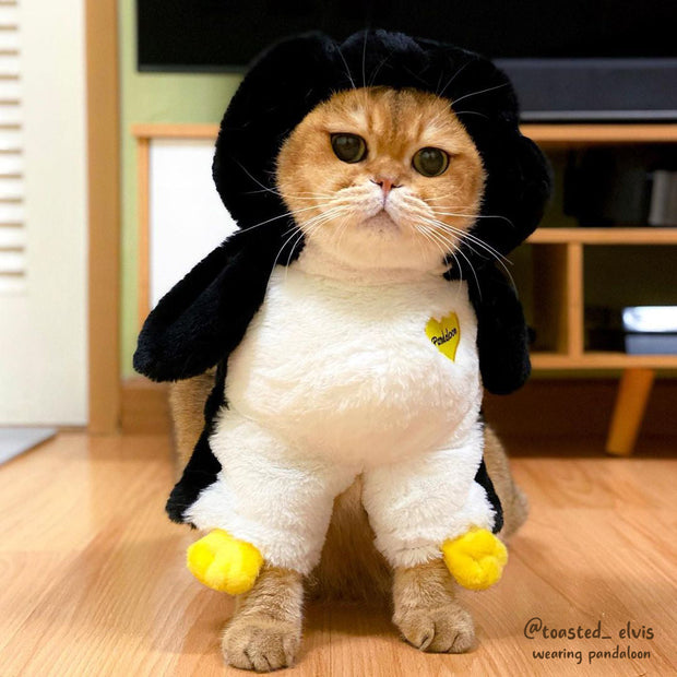 Pandaloon Penguin Pet Costume