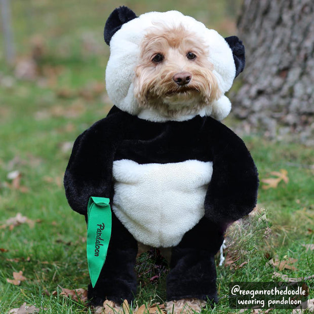 Pandaloon Panda Puppy Dog Costume